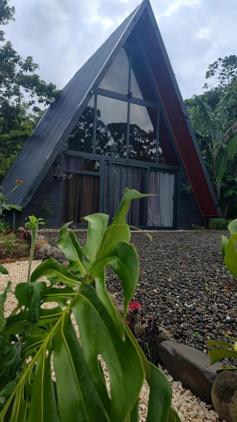 Yarumo Lodge, Rio Celeste Black Chalets Bijagua Extérieur photo